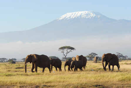 Mount Kilimanjaro