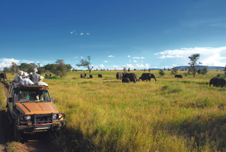 Safari Adventure - Tanzania