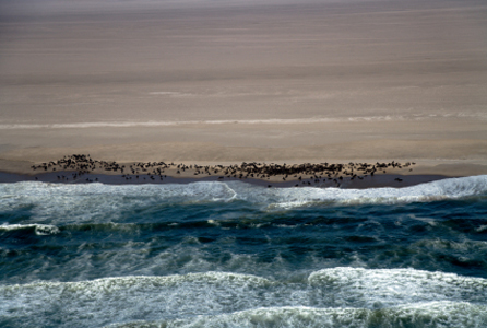 Sandwich Harbour