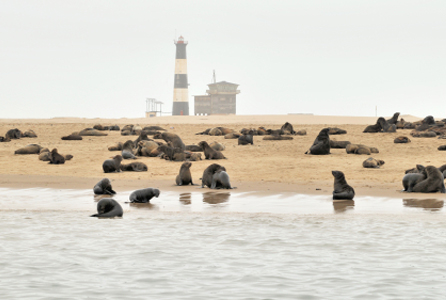 Walvis Bay